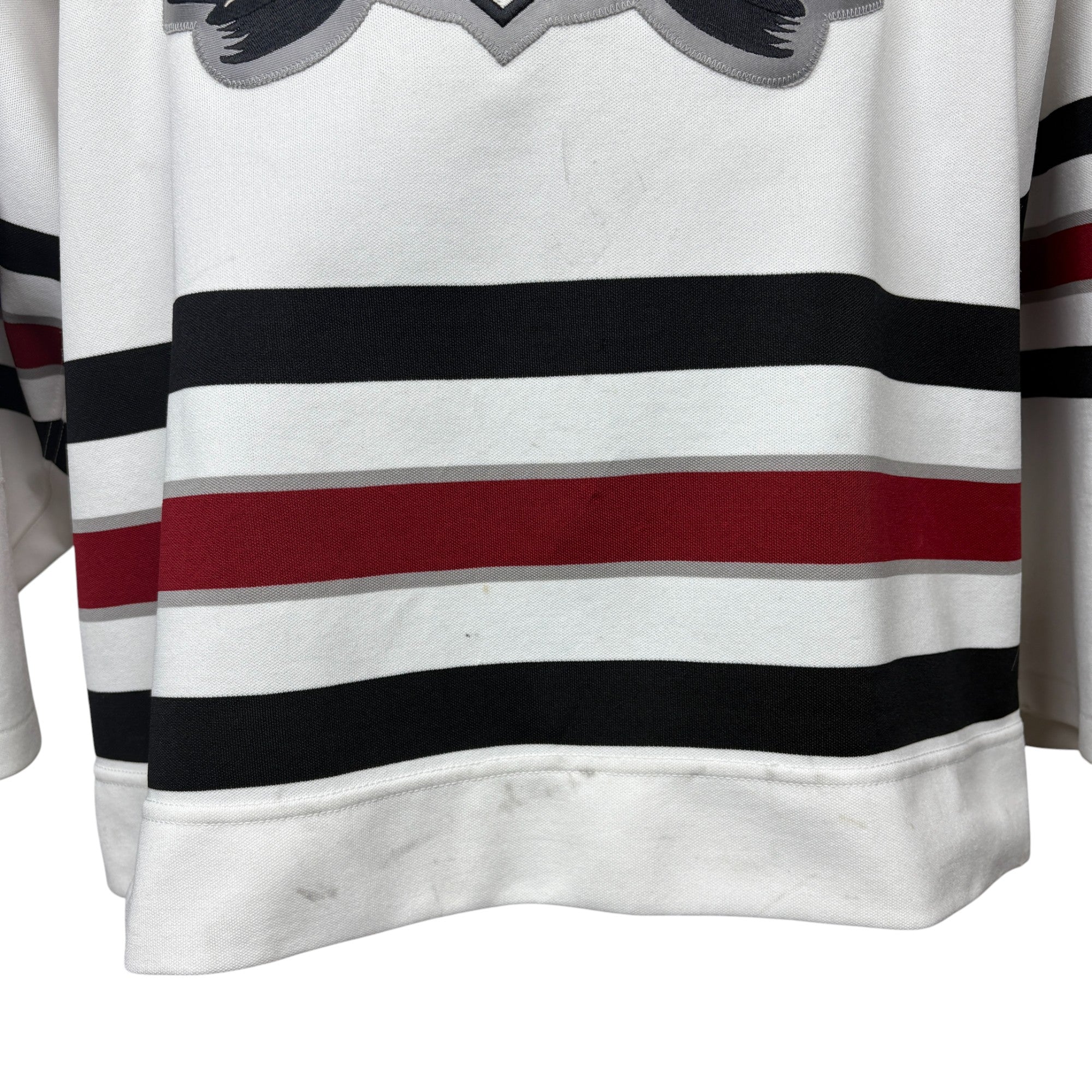 2002 Memorial Cup Red Deer Rebels Dion Phaneuf (Autographed)